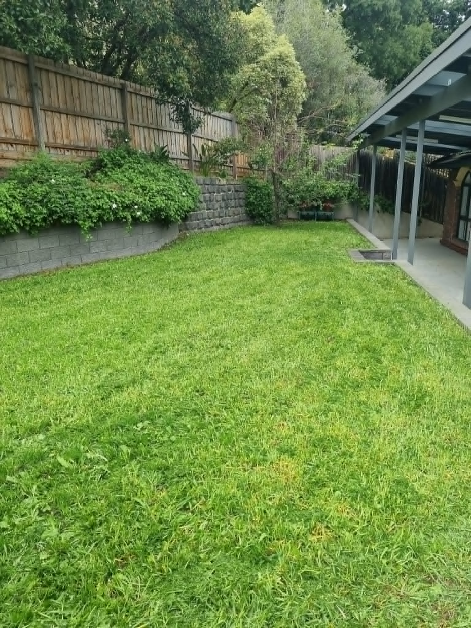 Hedge Trimming