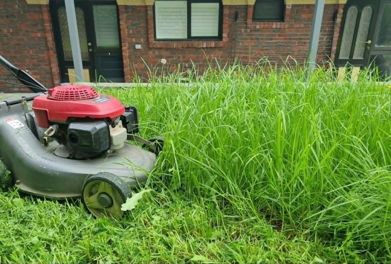 Lawn Mowing