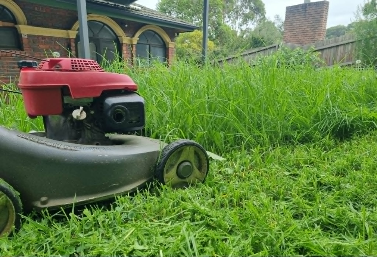 Honda lawn mower cutting overgrown grass