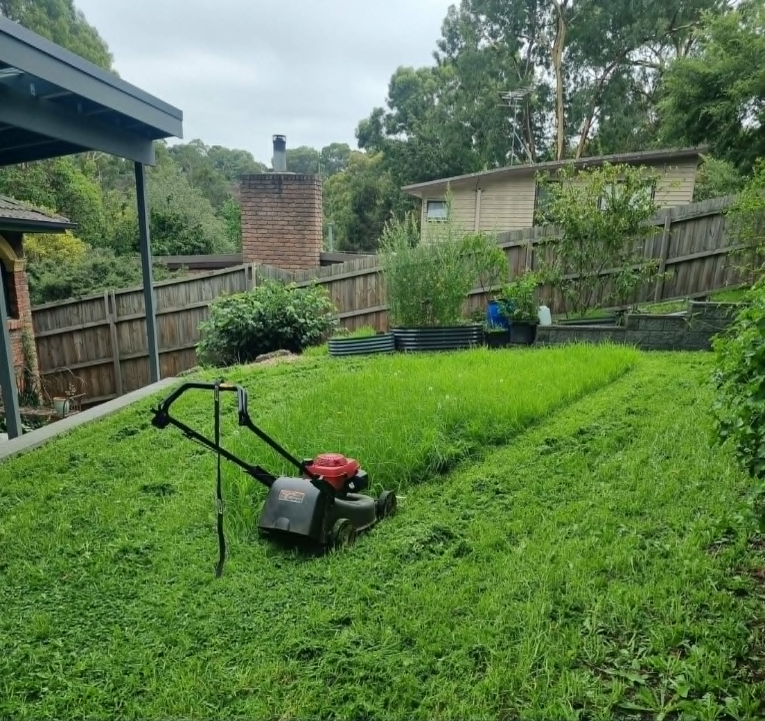 Nillumbik Lawn and Garden mowing a residential backyard
