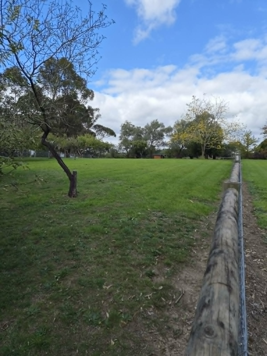 Freshly mowed park with fence line