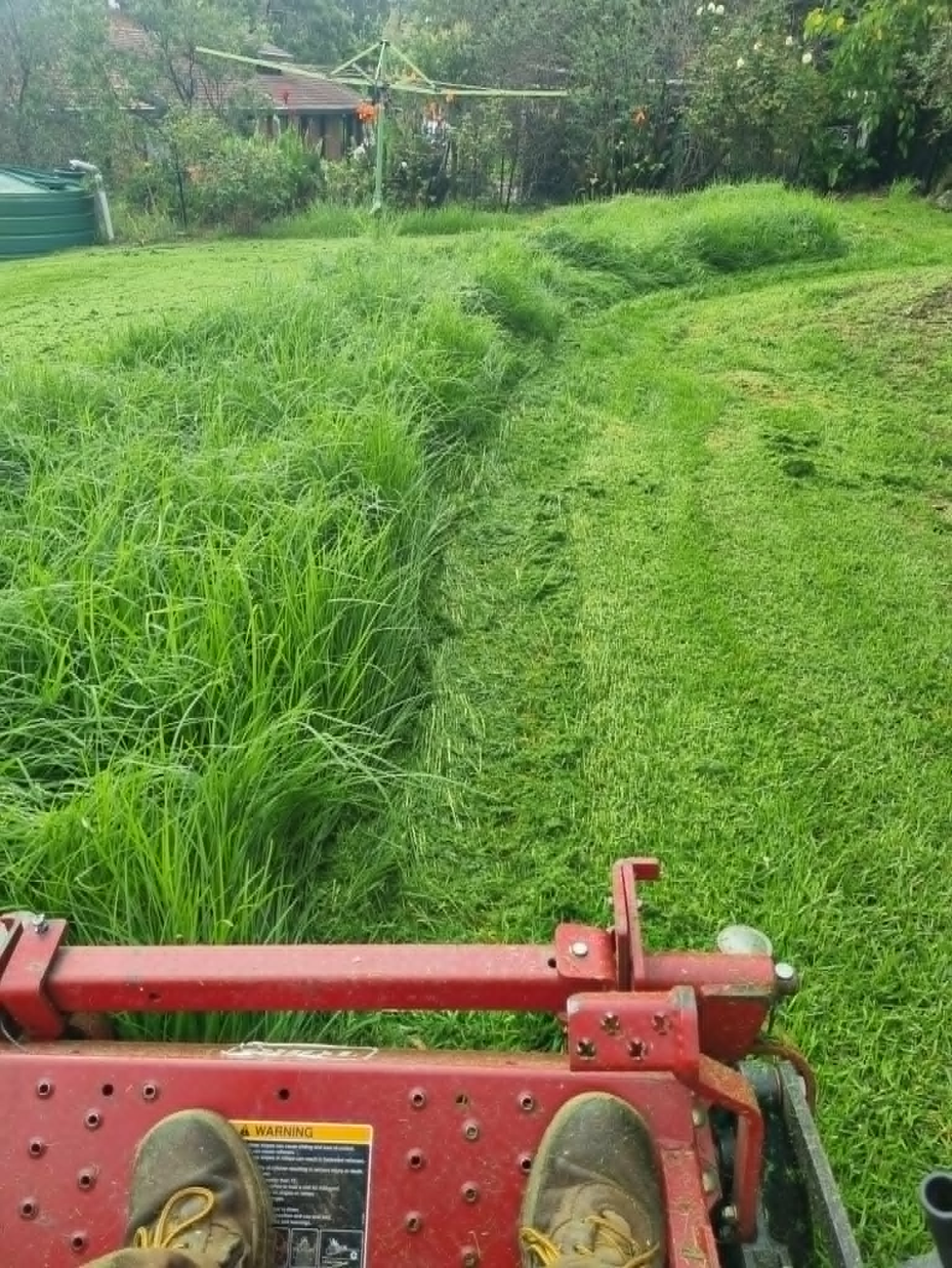 Ride-on mower cutting through tall grass